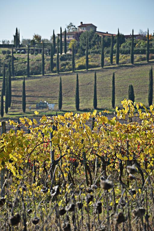 Adalberto - Nella Dimora Di Fulignano San Gimignano Exteriér fotografie