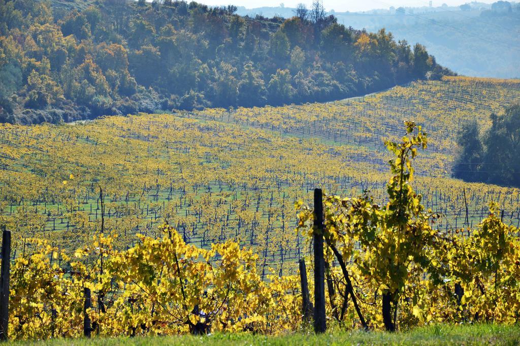 Adalberto - Nella Dimora Di Fulignano San Gimignano Exteriér fotografie